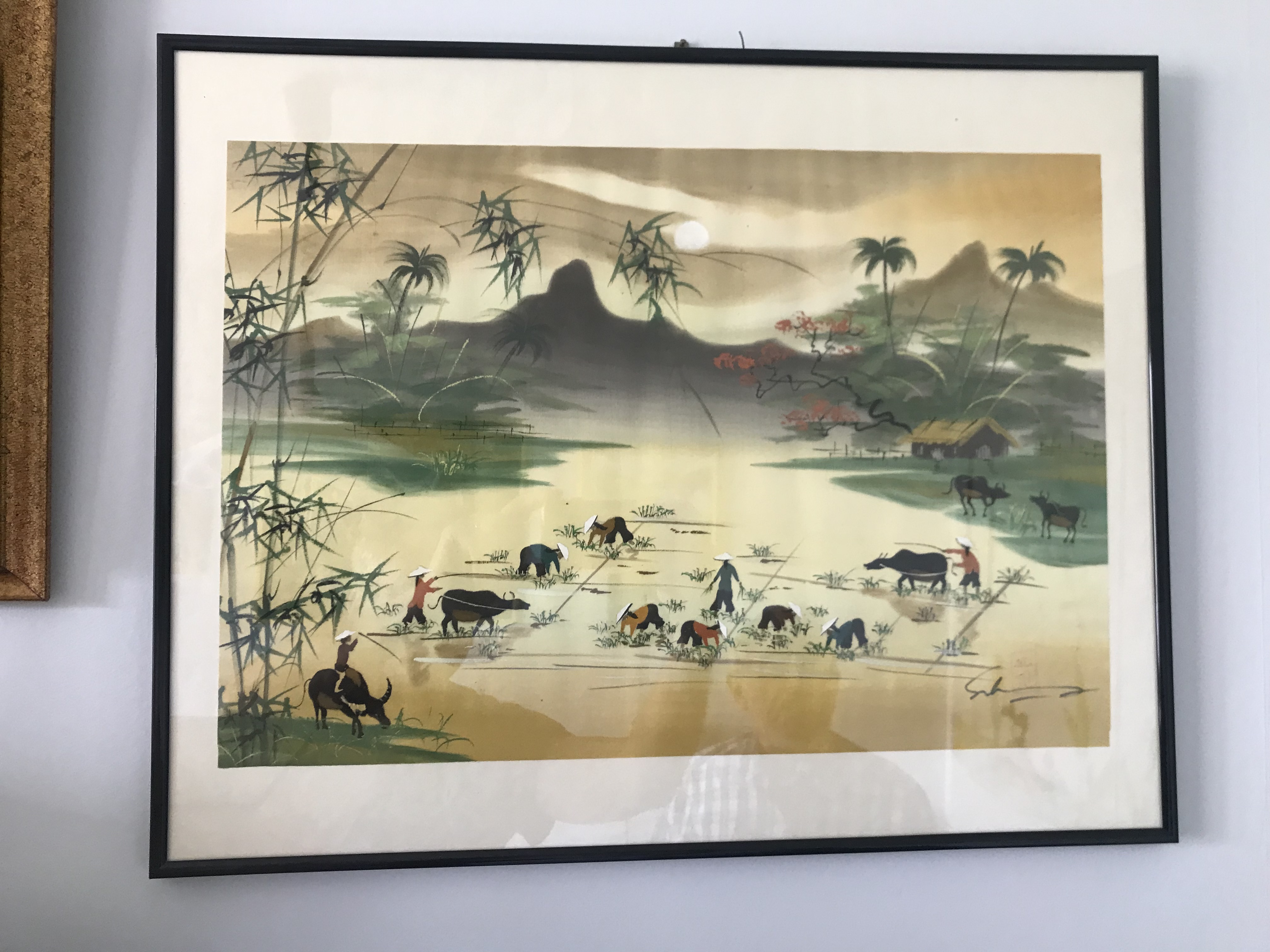 2024-05-13 12.22.01.jpg